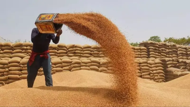 Centre's grain procurement process discriminatory towards Telangana: Peddapalli MP Vamsi Krishna