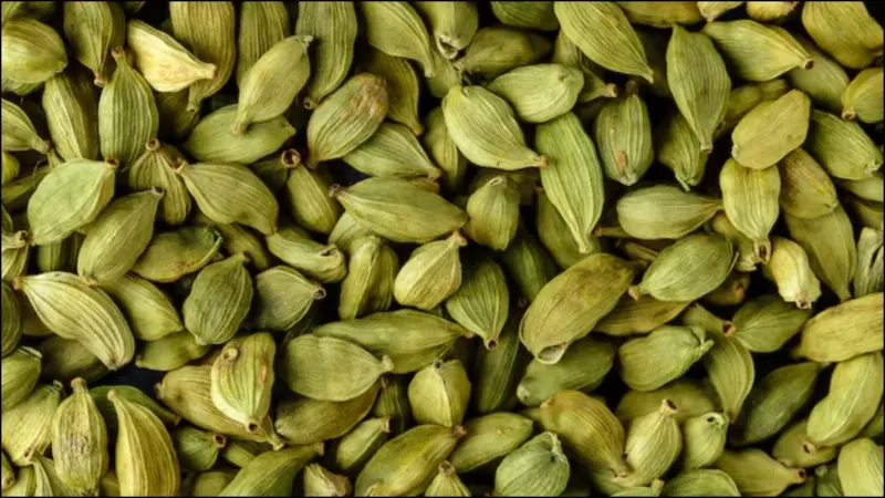 सुबह खाली पेट हरी इलायची खाने से क्या होता है, इससे क्या फायदे मिलते हैं और 1 दिन में कितनी हरी इलायची खा सकते हैं?
