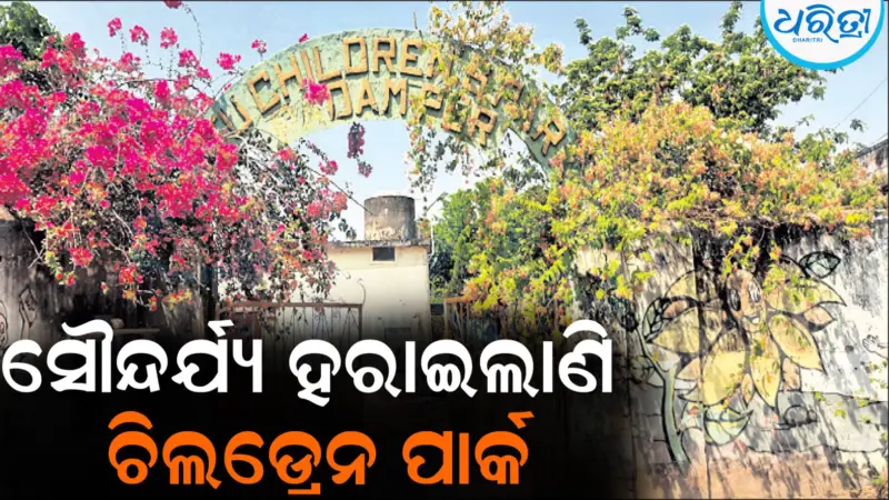 ସୌନ୍ଦର୍ଯ୍ୟ ହରାଇଲାଣି ଚିଲଡ୍ରେନ ପାର୍କ: ପ୍ରଶାସନ ଦୃଷ୍ଟି ଦେବାକୁ ଦାବି