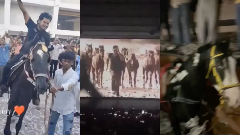 Watch: Fans bring horse inside theatre during Allu Arjun's film screening