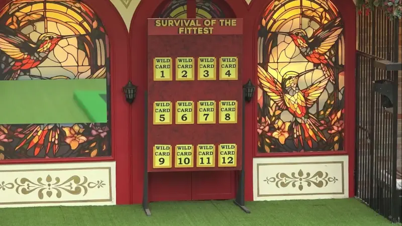 BB8: 12 Wild Card Entries