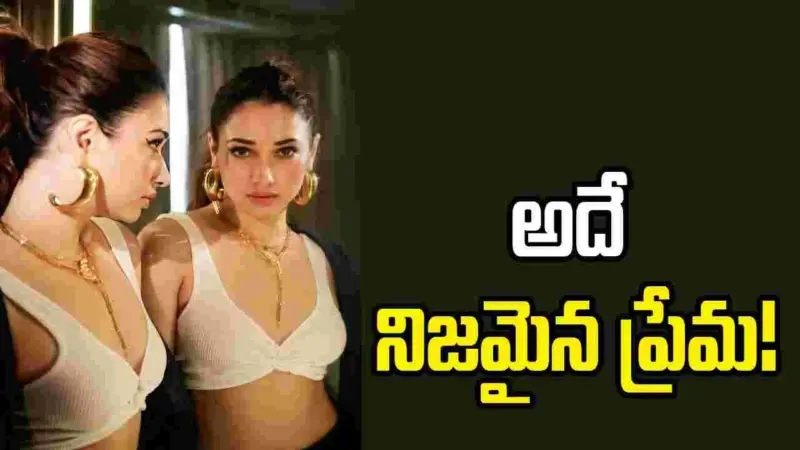 లవ్ - రిలేషన్పై మిల్కీ బ్యూటీ సంచలన వ్యాఖ్యలు