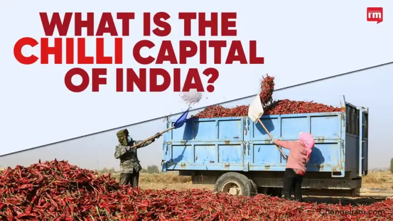 India's Chilli Capital Revealed