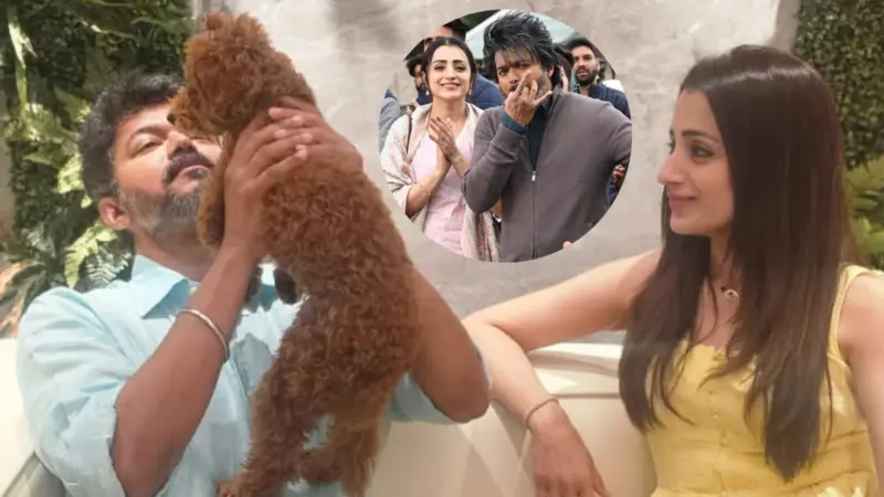 விஜய்யை இன்ஸ்டாவில் ஃபாலோ பண்ணாத த்ரிஷா: விஜய்யோ யாரையுமே ஃபாலோ பண்ணல