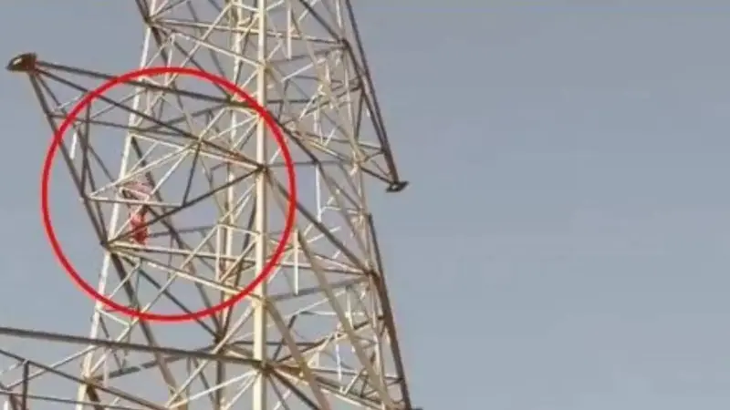 Young Woman Climbs Mobile Tower Over Relationship Issues in Madhya Pradesh