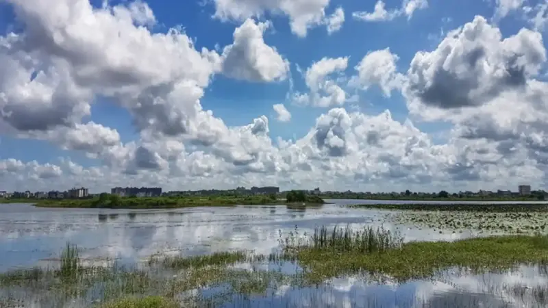 CG Weather Today: छत्तीसगढ़ में मौसम की दोहरी मार! रायपुर समेत 14 जिलों में हीटवेव का ऑरेंज अलर्ट, बस्तर में बारिश की संभावना