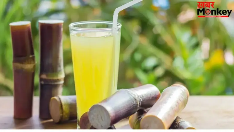 Sugarcane Juice Benefits: गन्ने का जूस पीने के फायदे जानकर चौंक जाएंगे, पर 'ये' बात भी नोट कर लीजिए