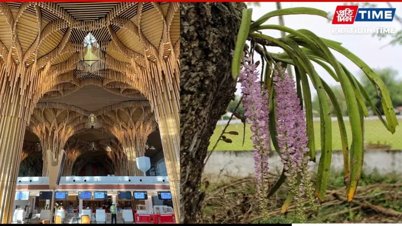 Guwahati Airport's New Terminal Inspired by Assam's Official State Flower