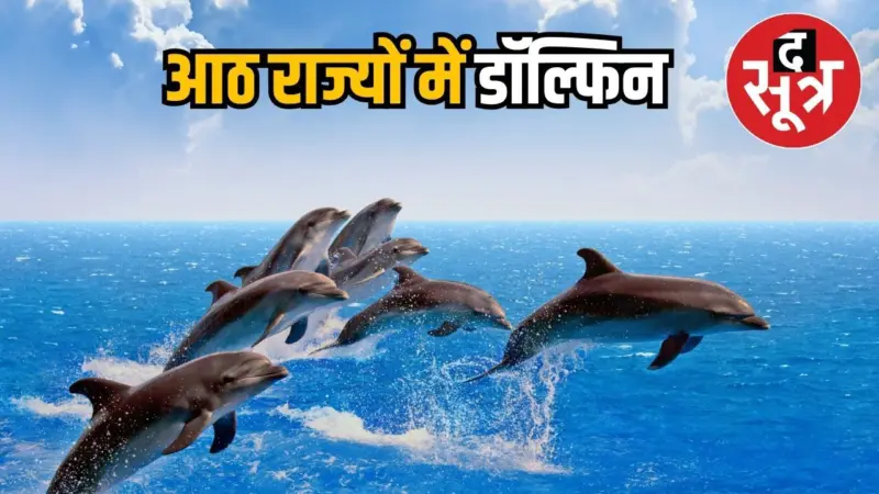 भारत की नदियों में पाई गई 6 हजार 327 डॉल्फिन, शीर्ष पर ये रहा राज्य, एमपी में कितनी ? जानें
