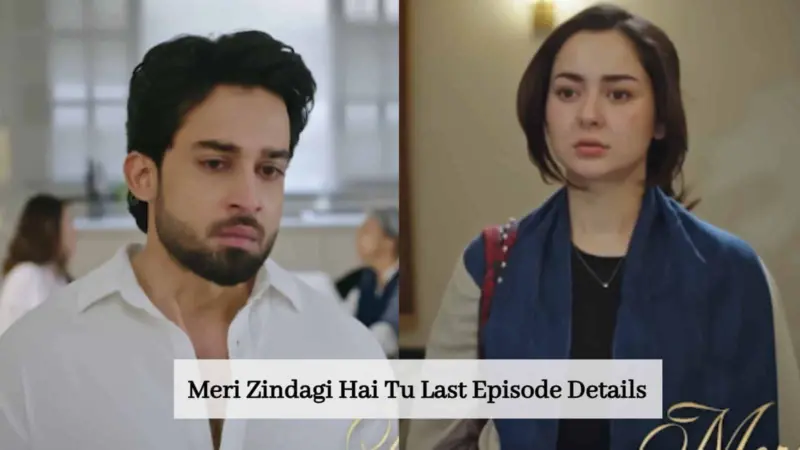 Meri Zindagi Hai Tu last episode: Divorce ending on cards?