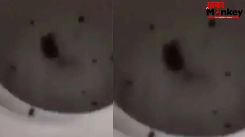 Viral: चूहे को परेशान करने के लिए बंदे ने किया ऐसा काम, वीडियो देख लोग बोले- गरुड़ पुराण में इसके लिए अलग सजा है