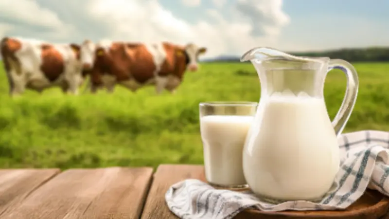 Largest Producer of Milk: Which Countries Consume the Most Milk Around the World?