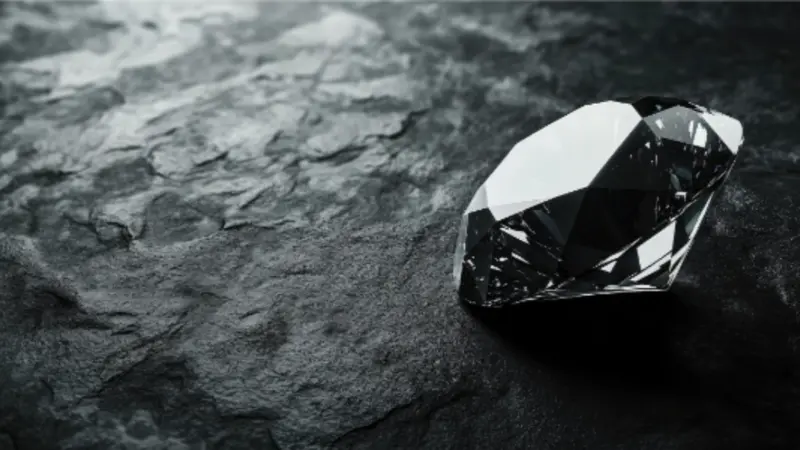 Land of Black Diamond: Which City in India Is Known as the Land of Black Diamond?