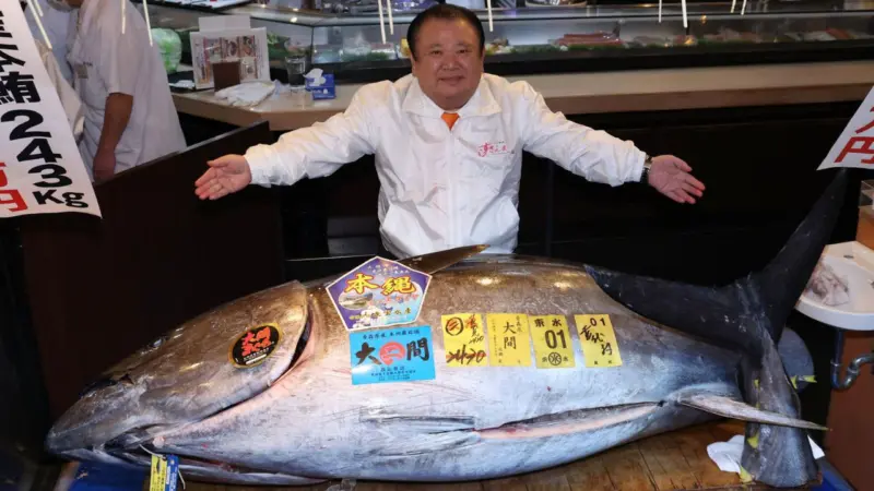 Is it Gold or Fish? Bluefin Tuna shocks world with Rs 29 crore price