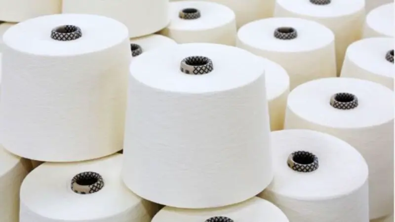 Sanathan Textiles IPO day 1: GMP, subscription status, review, other details. Good or bad bet for investors?