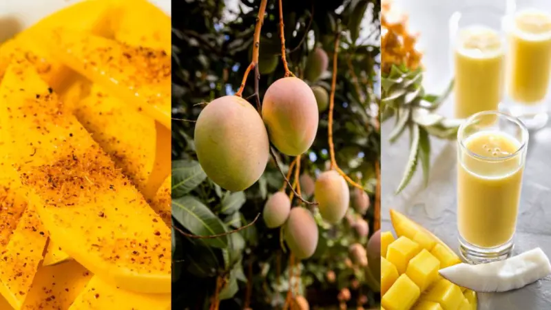 Mango Health Tips: മാമ്പഴം കൂടുതല്‍ കഴിച്ചാല്‍ ചൂടു കൂടുമോ? പഴമക്കാര്‍ പറയുന്നതിലെ സത്യമിത്