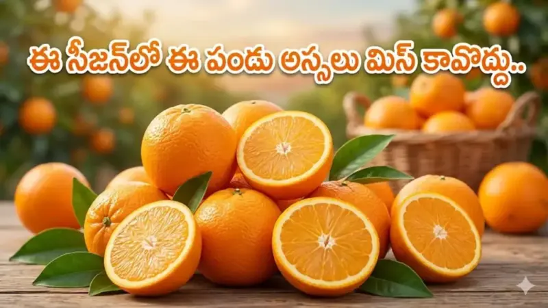 Orange:ఈ సీజన్‌లో ఈ పండు అస్సలు మిస్ కావొద్దు.. ఆరోగ్యానికి ఇన్ని లాభాలా?
