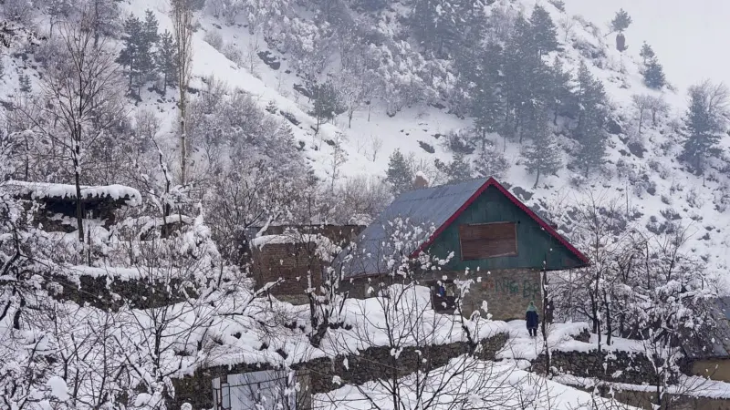 'Kashmir, you beauty': UAE-based influencer posts heartfelt ode to snow-draped Valley