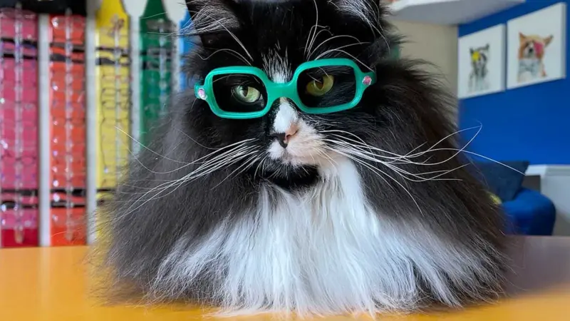 விலங்குகள் மற்றும் பறவைகளுக்கு உண்டாகும் வண்ணக் குருடு தன்மை பற்றி தெரியுமா?