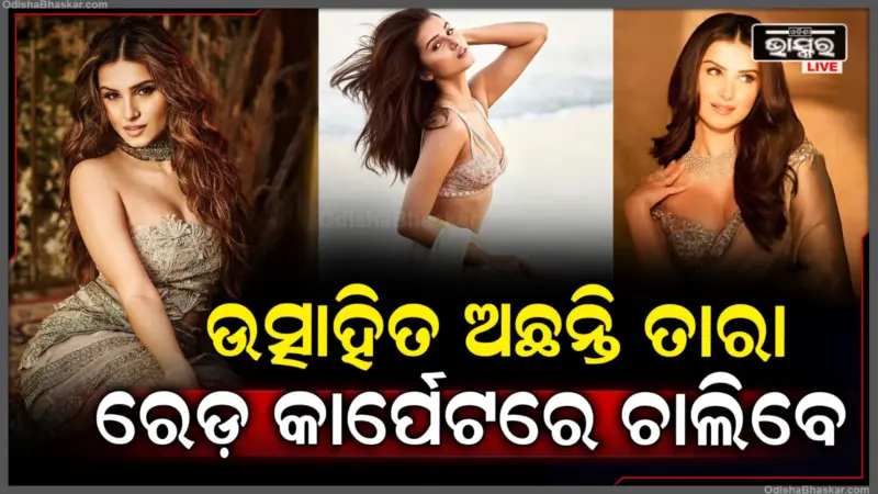 ଲଭ ରୋମାନ୍ସରେ ବ୍ୟସ୍ତ ତାରା; ଏଥର କାନ୍ସରେ ଦେଖାଇବେ ଝଲକ