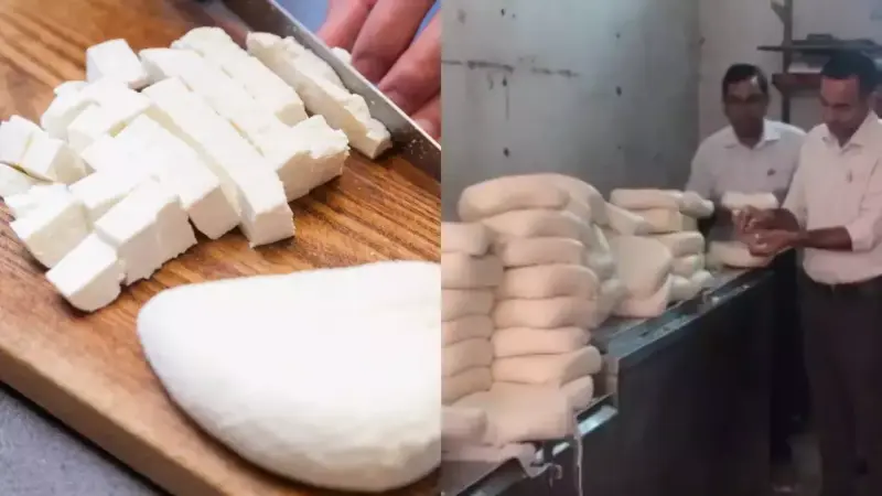 Paneer Scam Exposed? Gujarat Fines Hotels & Destroys 615 Kg Food