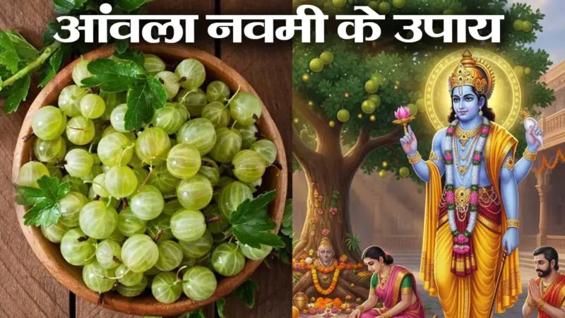 Amla Navami: आंवला नवमी पर करें ये 7 विशेष उपाय, मिलेंगे अनगिनत फायदे