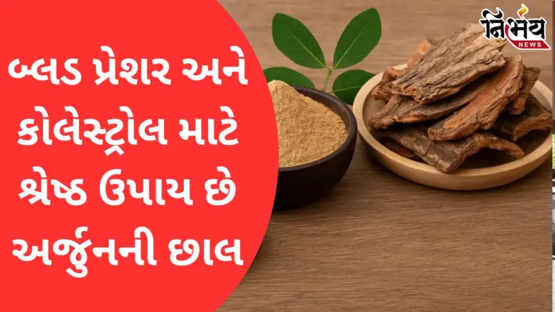 Health Tips: અર્જુનની છાલથી કયા રોગો મટી શકે છે, જાણો તેનું સેવન કેવી રીતે કરવું જોઈએ?