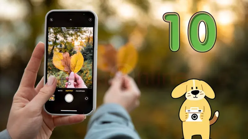 ஸ்மார்ட்போன் போட்டோகிராஃபி: காஸ்ட்லி கேமரா எதுக்கு? இந்த 10 சீக்ரெட்ஸ் போதும்!