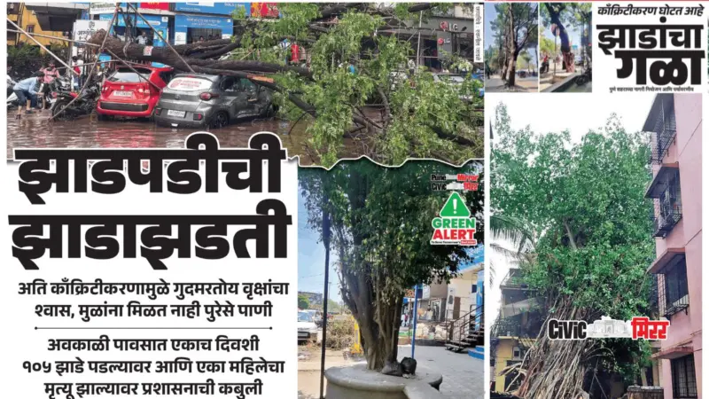 Pune Rain | झाडपडीची झाडाझडती.! काँक्रिटीकरण घोटत आहे झाडांचा गळा; प्रशासनाची कबुली..