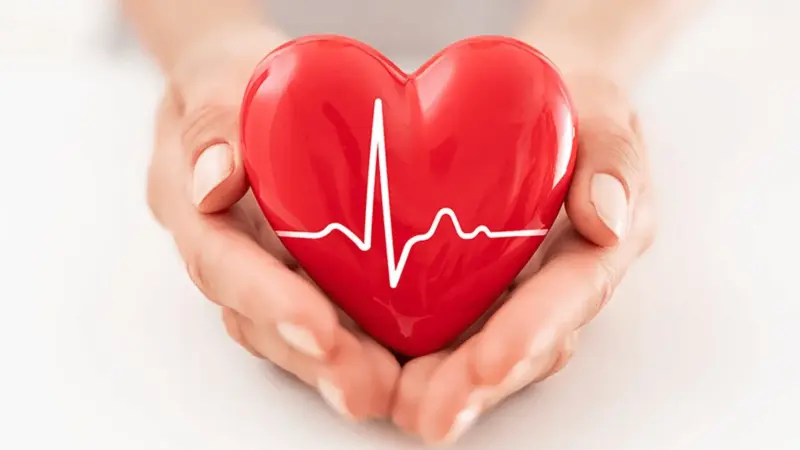గుండెకు మేలు చేసే 5 సూపర్ ఫుడ్స్