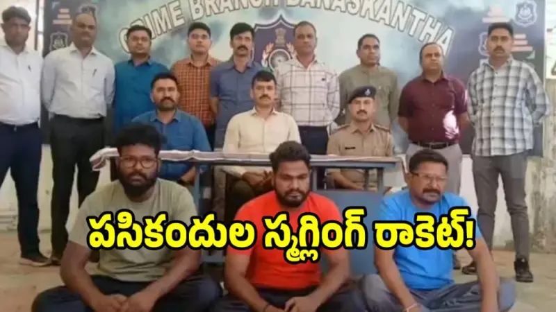 హైదరాబాద్లో గుజరాత్ పోలీసుల ఆపరేషన్ 'దేవ్'.. వెలుగులోకి సంచలనాలు..?