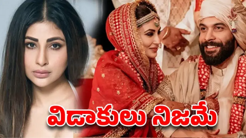 ప్రేమ పెళ్లి.. నాలుగేళ్లకే పెటాకులు.డైవోర్స్ నిజమేనంటున్న బాలీవుడ్ బ్యూటీ