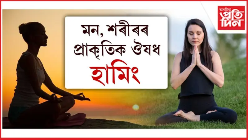 জীৱনত শান্তি বিচাৰে যদি সদায় হামিং কৰক