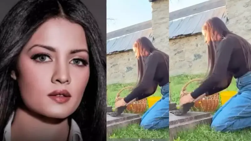 Celina Jaitly Son: सेनिला जेटली के बेटे की मृत्यु कैसे हुई? जिसकी क्रब पर फूट-फूटकर रोई एक्ट्रेस
