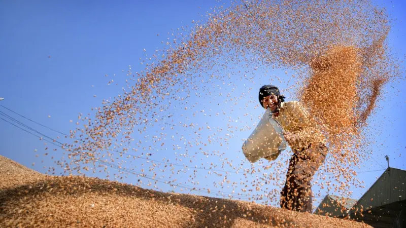 May Day: ഇന്ന് സാര്വദേശീയ തൊഴിലാളി ദിനം; എന്തെല്ലാം പ്രവര്ത്തിക്കും?