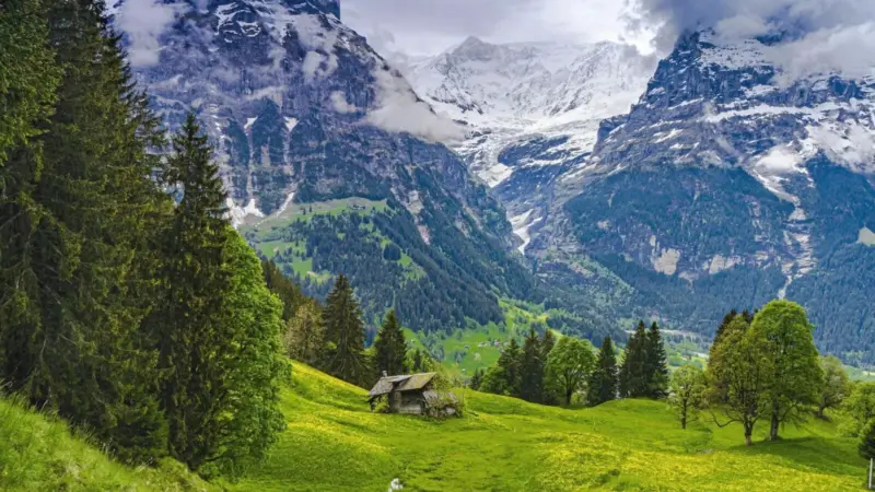 7 Best Places To Visit In May In India For A Perfect Summer Trip