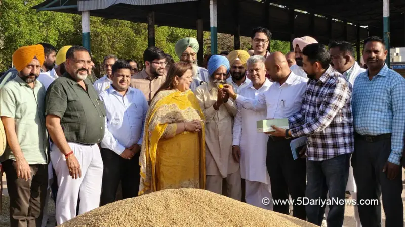 ਰਾਜਪੁਰਾ ਦੀ ਵਿਧਾਇਕ ਨੀਨਾ ਮਿੱਤਲ ਵੱਲੋਂ ਬਨੂੰੜ ਮੰਡੀ ਵਿੱਚ ਕਣਕ ਖਰੀਦ ਦੀ ਸ਼ੁਰੂਆਤ