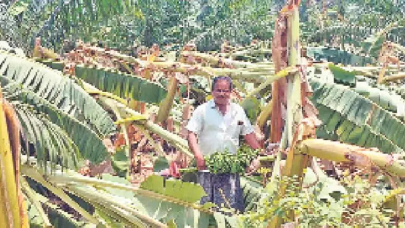 ఈదురుగాలుల వర్షం