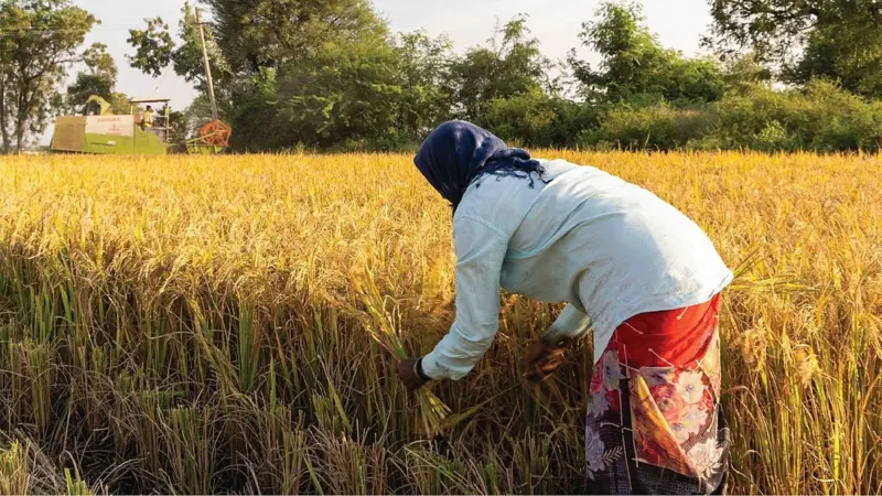 Unpaid, unseen, unending: The workdays of rural women