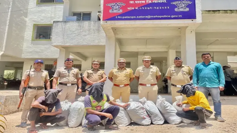 पवनचक्क्यांची केबल चोरी करणारी टोळी जेरबंद; 1 लाख 13 हजार रुपयांचा मुद्देमाल जप्त