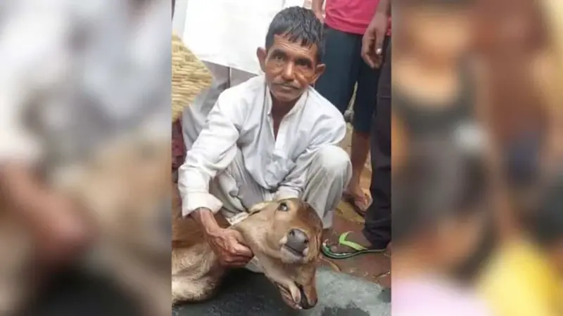 Two-headed, three-eyed calf born in UP; villagers flock to worship 'miracle'