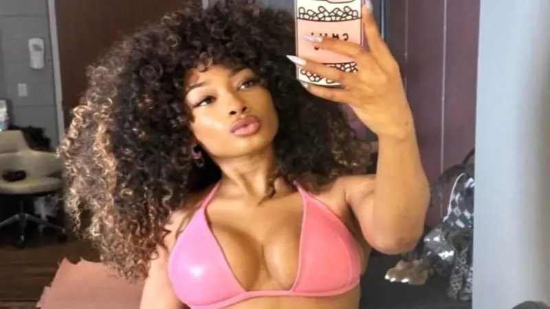 What Is Megan Thee Stallion's Net Worth? Exploring The Rapper's Wealth And Fortune