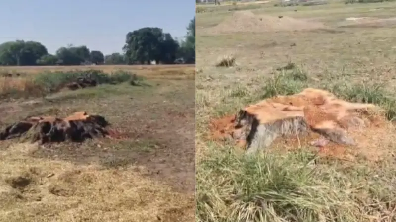 Fatehpur: असोथर में अचानक पर्यावरणीय संकट, ग्रामीणों में भारी आक्रोश