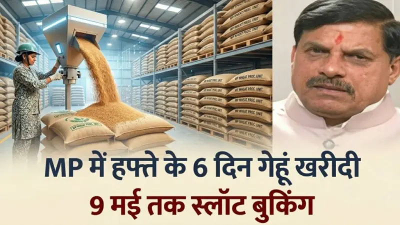 किसानों के लिए खुशखबरी: MP में अब 6 दिन होगी गेहूं खरीदी, स्लॉट बुकिंग बढ़ी और मिलेगा ज्यादा मुआवजा