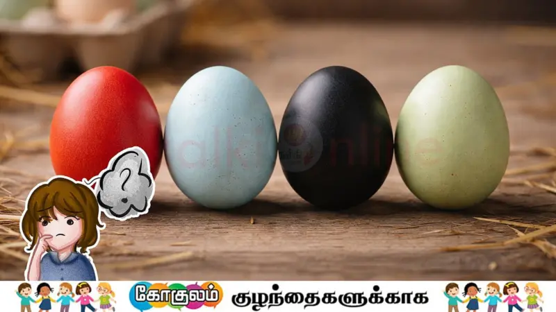பல வண்ணங்களில் முட்டைகள் உண்டு... தெரியுமா குட்டீஸ்?