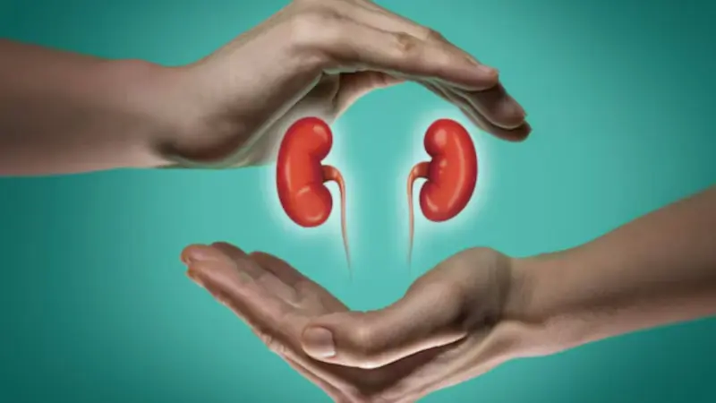 Silent Threats: Are Your Daily Habits Damaging Your Kidneys?
