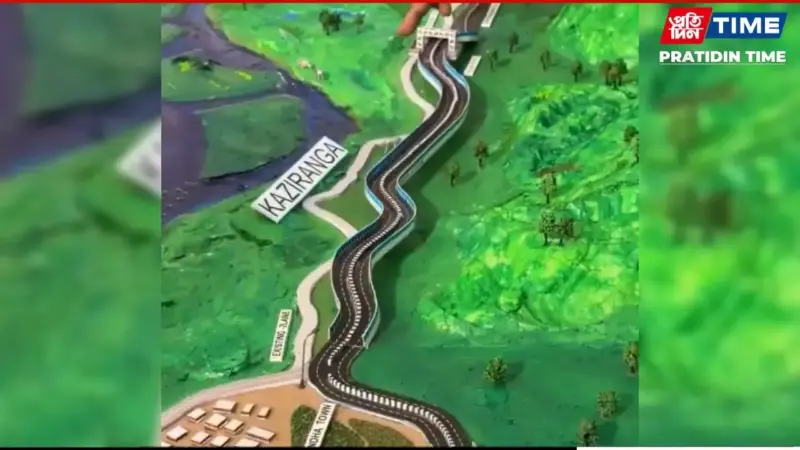 Kaziranga NH-715 Corridor Gets 18 Bids for Rs 6,956 Cr Project: NHAI
