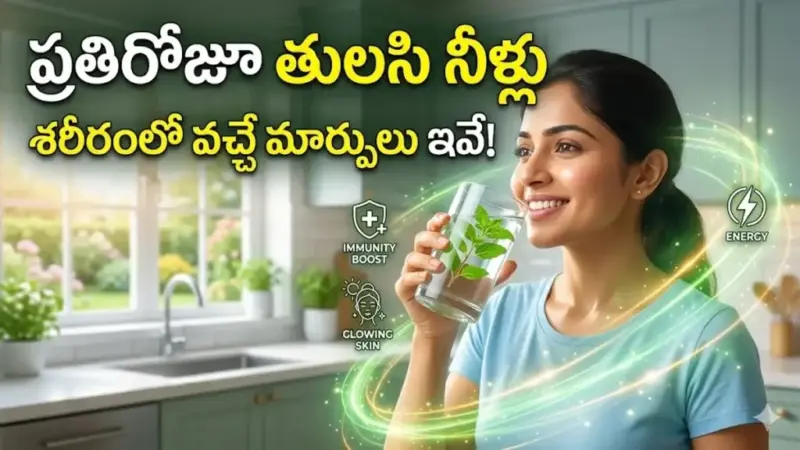 పరగడుపున తులసి నీళ్లు తాగుతున్నారా? అయితే మీ శరీరంలో జరిగే మ్యాజిక్ ఇదే!