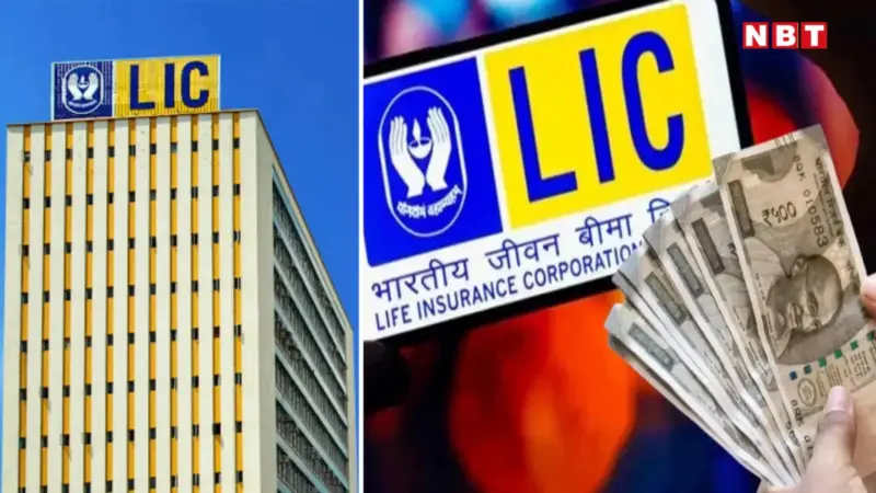 LIC Stock Portfolio: ₹18,500 करोड़ की खरीदारी, डूबते बाजार में LIC ने सस्ते में खरीद लिए शेयर, देख लीजिए लिस्ट