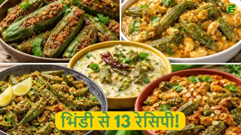 Bhindi Recipes: 13 टेस्टी भिंडी डिश और 9 फायदे, रोज की सब्जी अब नहीं लगेगी बोरिंग
